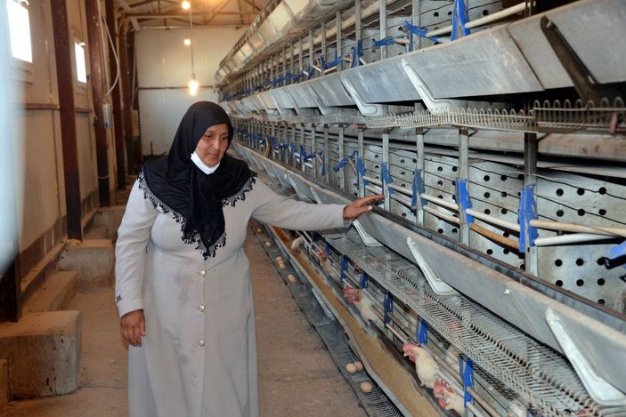 Tavukları ölen kadın girişimciye, Bakan Pakdemirli'den 5 bin hayvanla destek -7