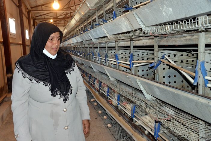 Tavukları ölen kadın girişimciye, Bakan Pakdemirli'den 5 bin hayvanla destek -6