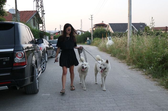 Sakarya’da vahşet, çöp poşeti içine konulup gömülmüş 2 ceset bulundu -2