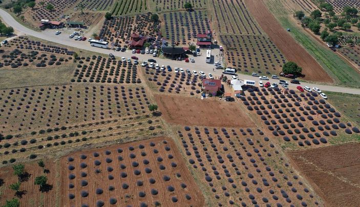 Lavanta kokulu köyde, ziyaretçi hareketliliği -6