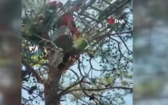 Ağaçta asılı kalan yamaç paraşütçülerini itfaiye kurtardı -1