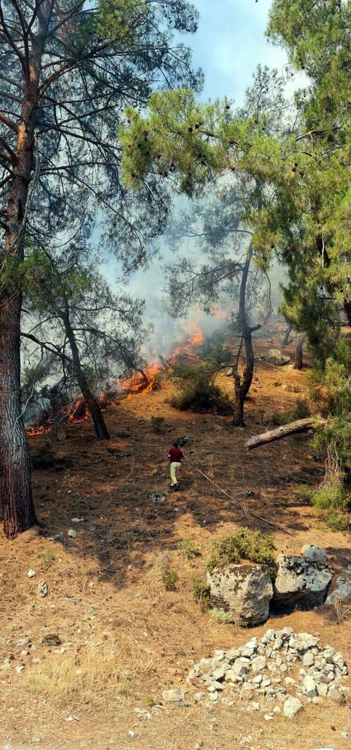 Aydın'da orman yangını; 2,8 hektar kızılçam yandı -3