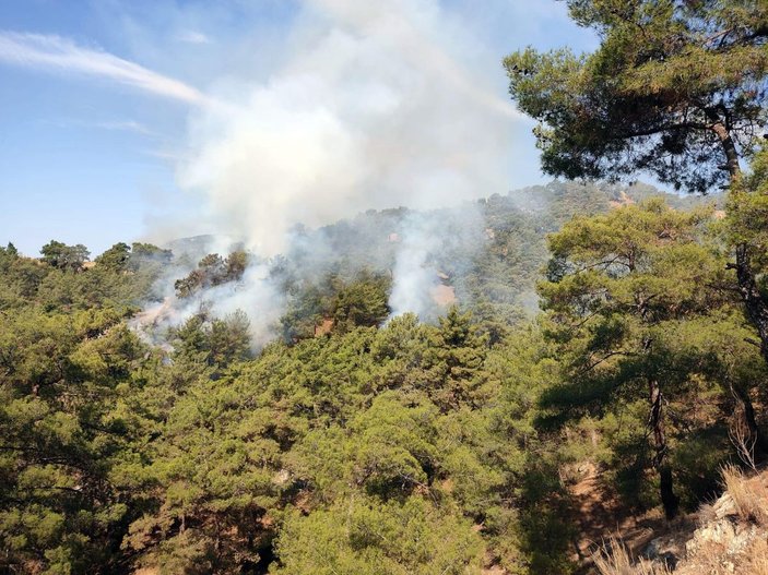 Aydın'da orman yangını; 2,8 hektar kızılçam yandı -4