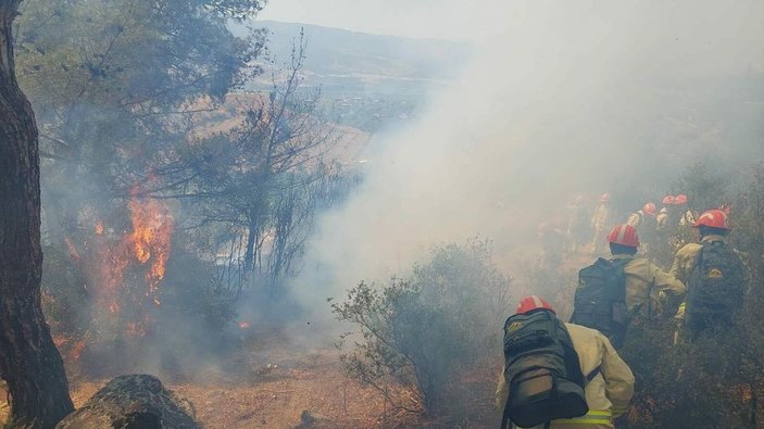 Aydın'da orman yangını; 2,8 hektar kızılçam yandı -1