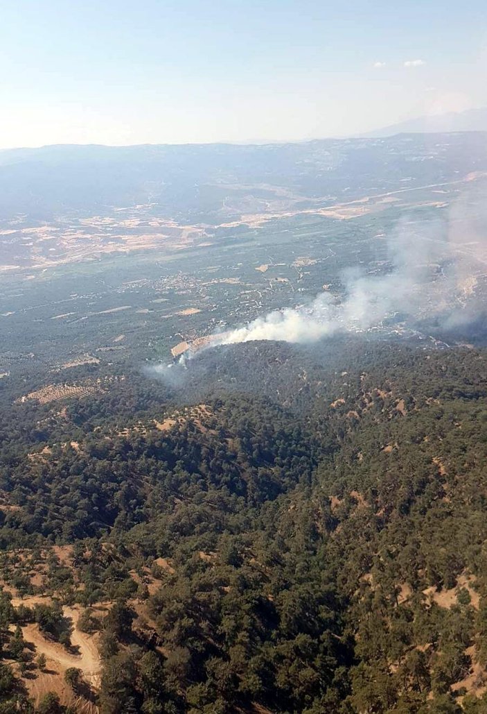 Aydın'da orman yangını; 2,8 hektar kızılçam yandı -2