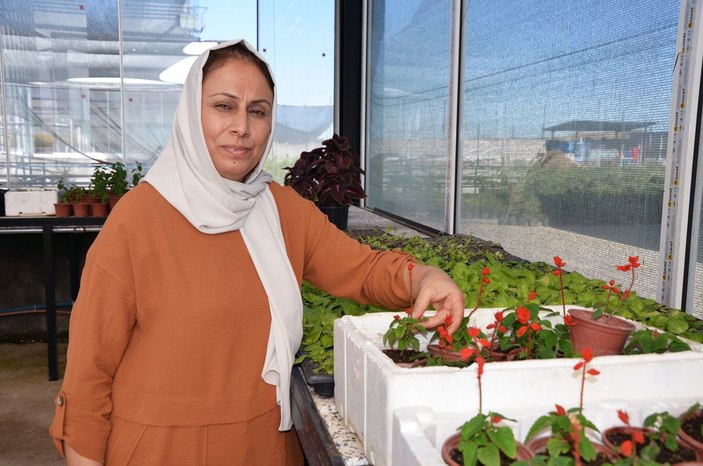Diyarbakırlı ev hanımı Güneydoğu’nun ilk çiçek serasını kurdu -2