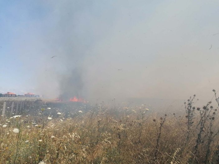 Silivri'de buğday tarlası alevlere teslim oldu  -1