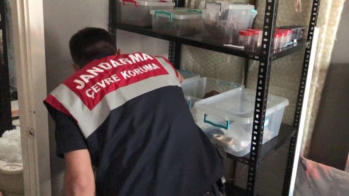 Yasa dışı hayvan ticaretine jandarma engeli -3