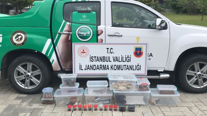 Yasa dışı hayvan ticaretine jandarma engeli -1