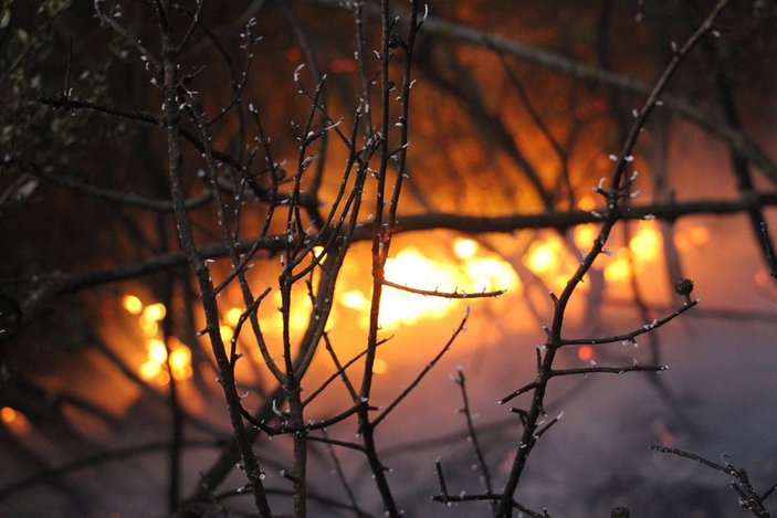 Manisa’da ormanlık alanda 6 farklı noktada yangın