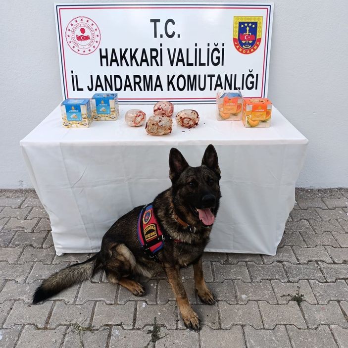 d Hakkari'de kargo aracında 2 kilo eroin ele geçirildi -2