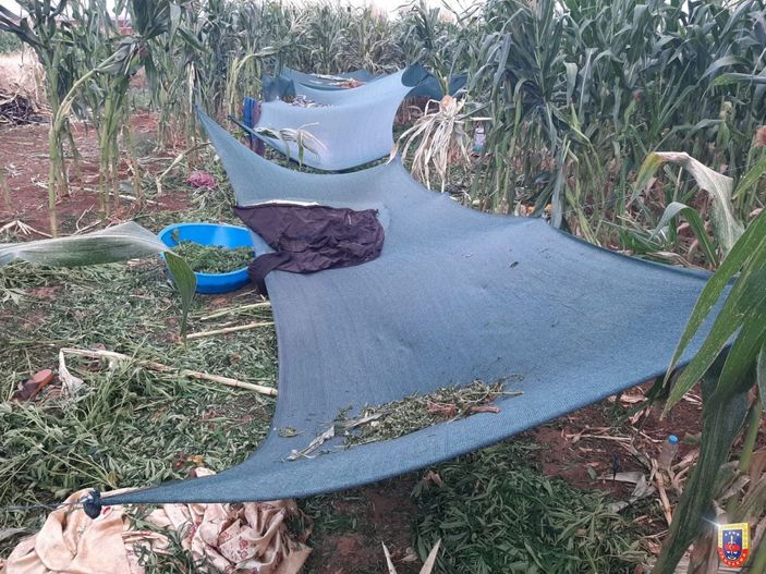 Şanlıurfa'da uyuşturucu operasyonu: 10 gözaltı -2