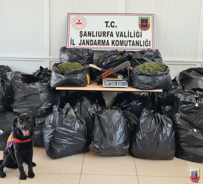 Şanlıurfa'da uyuşturucu operasyonu: 10 gözaltı -1