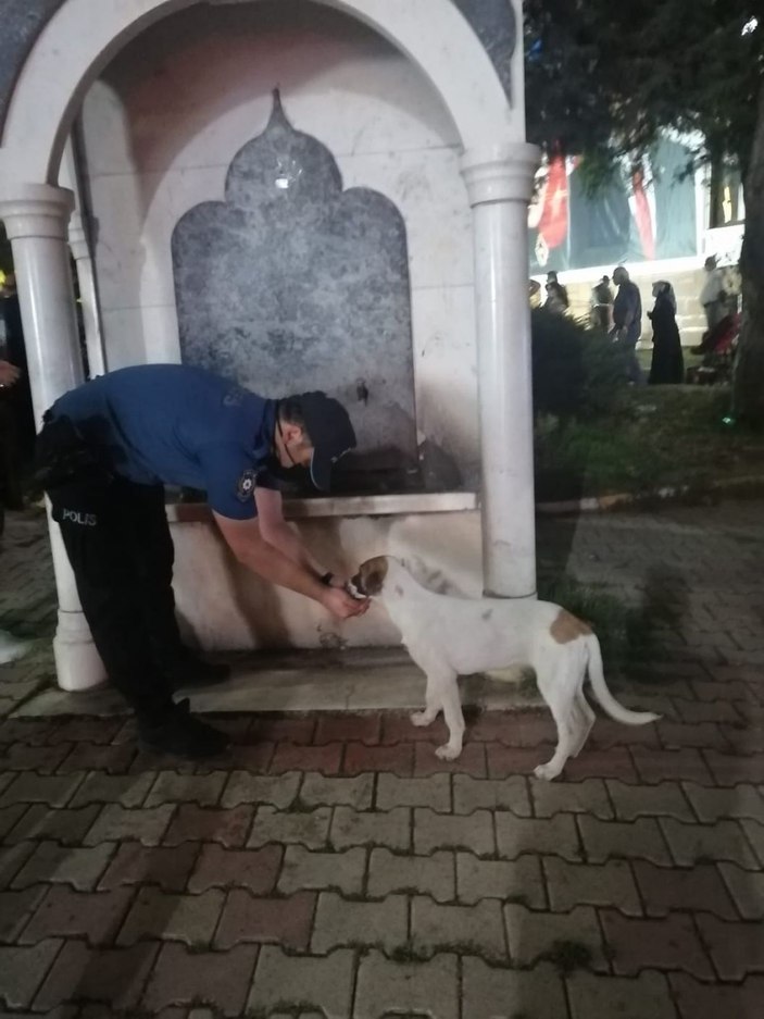 Polis, sokak köpeğine çeşmeden elleriyle su içirdi -1