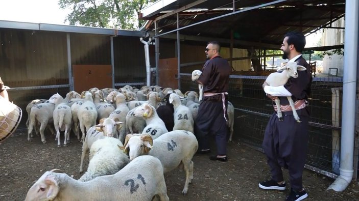 Kurban Bayramı öncesi kuzularına sıra gecesi yaptı -7