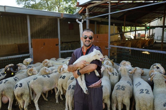 Kurban Bayramı öncesi kuzularına sıra gecesi yaptı -11