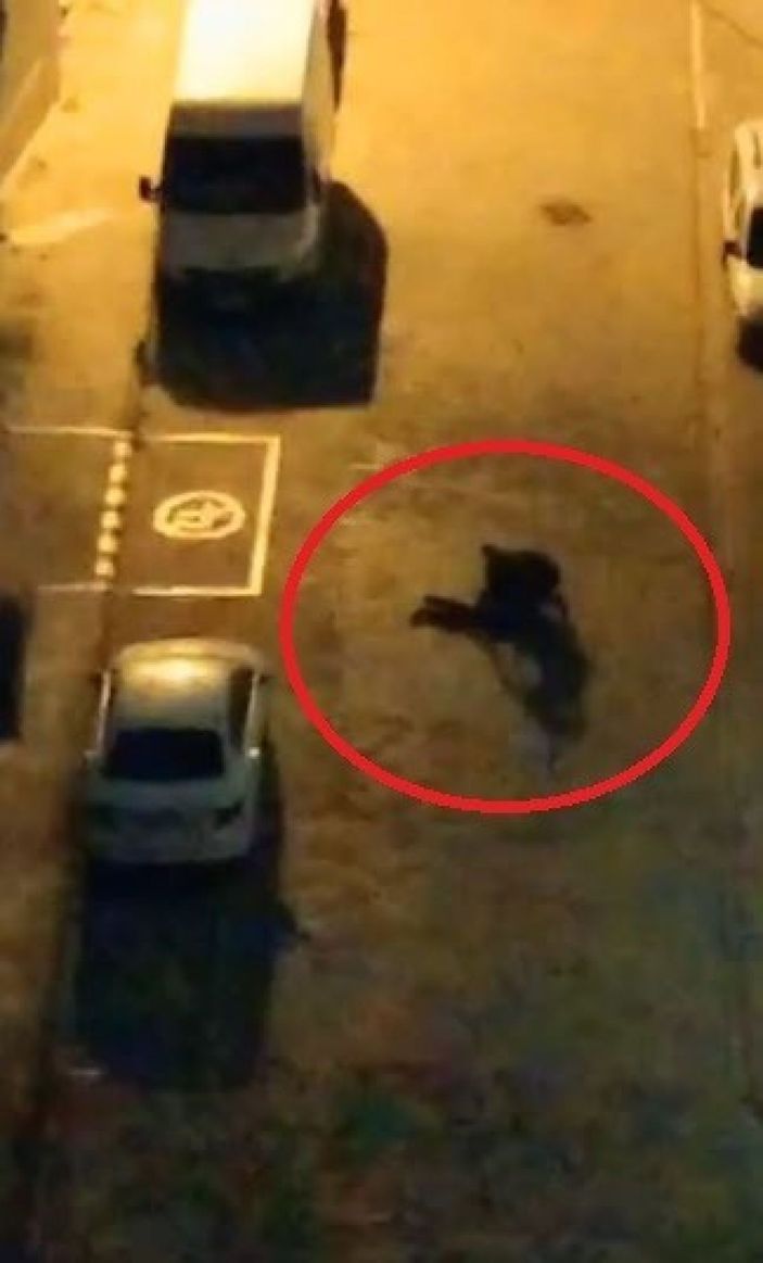 i Samsun'da 112 ambulans ekibine bıçaklı saldırı