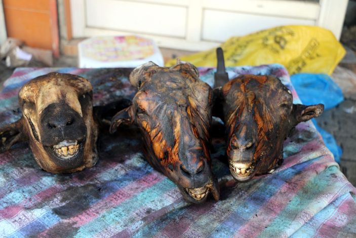 Kurban kellelerinin temizliği ek kazanç kapısı oldu -4