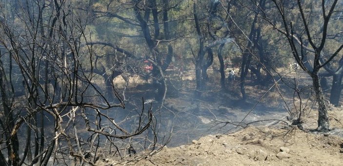 Datça'da çıkan orman yangınında 1 hektarlık alan zarar gördü -7