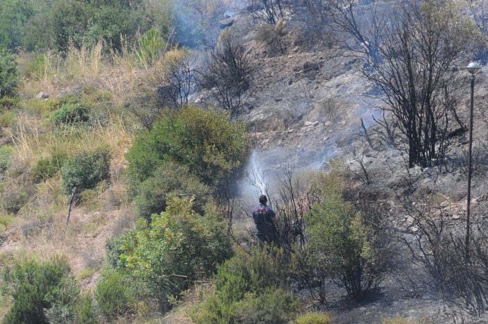 Kocaeli'de 30 dönüm ormanlık alan yandı -10