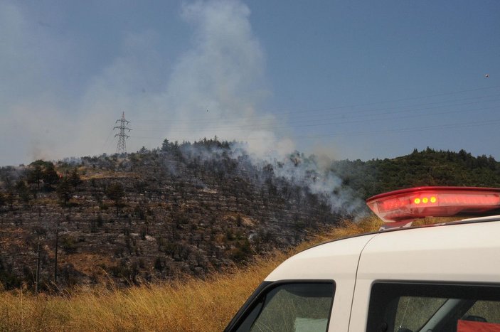 Kocaeli'de 30 dönüm ormanlık alan yandı -9
