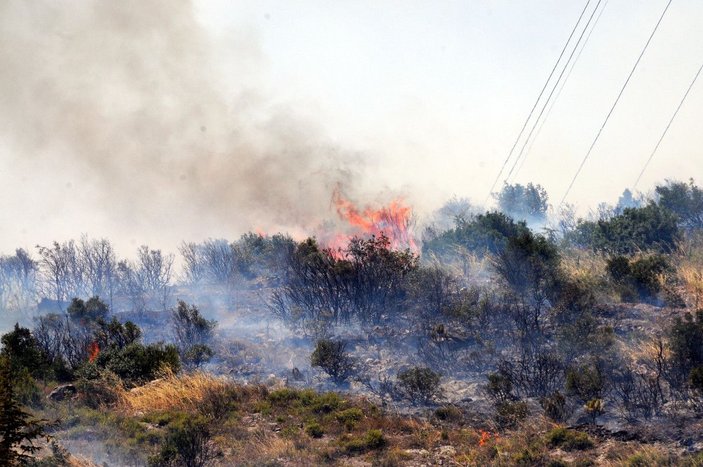Kocaeli'de 30 dönüm ormanlık alan yandı -4