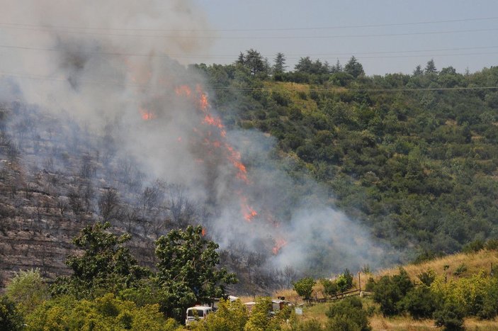 Kocaeli'de 30 dönüm ormanlık alan yandı -3