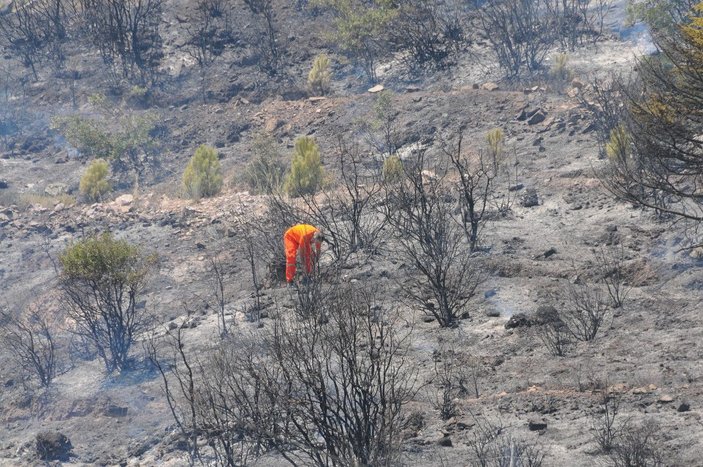 Kocaeli'de 30 dönüm ormanlık alan yandı -8