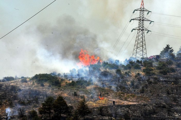 Kocaeli'de 30 dönüm ormanlık alan yandı -2