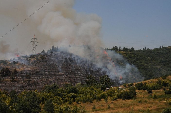 Kocaeli'de 30 dönüm ormanlık alan yandı -7