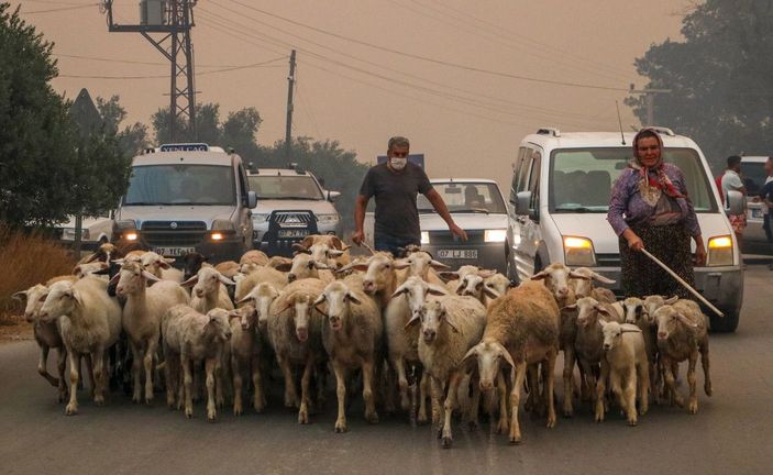 d Manavgat'taki büyük yangında 2'nci gün; bir mahalle daha boşaltıldı -7