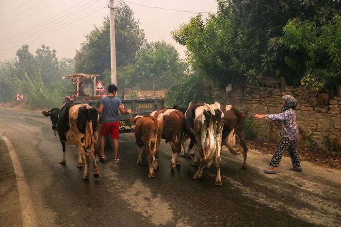 d Manavgat'taki büyük yangında 2'nci gün; bir mahalle daha boşaltıldı -5