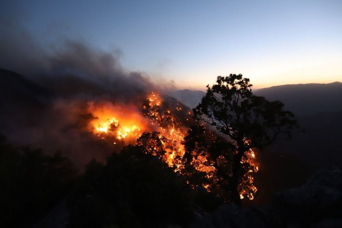 Mersin'de orman yangınları