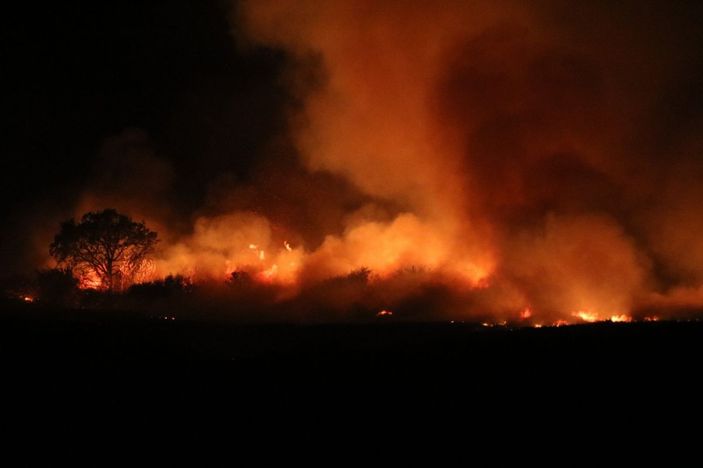Anız yangını rüzgarın etkisiyle devasa boyuta ulaştı, ekili alanlar zarar gördü -2