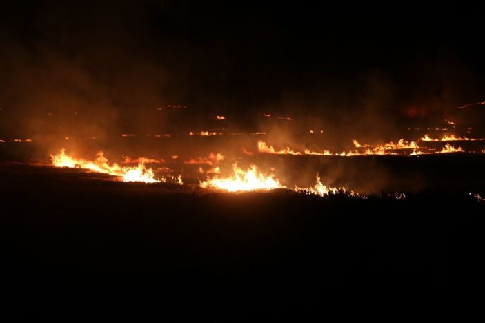 Anız yangını rüzgarın etkisiyle devasa boyuta ulaştı, ekili alanlar zarar gördü -6
