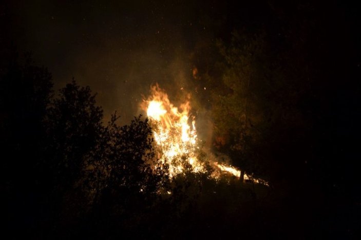Salihli'de orman yangını; 10 dönüm alan zarar gördü -4