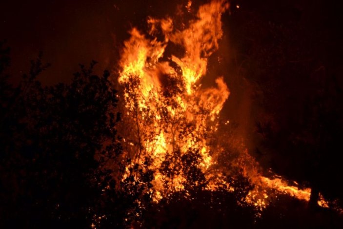 Salihli'de orman yangını; 10 dönüm alan zarar gördü -3