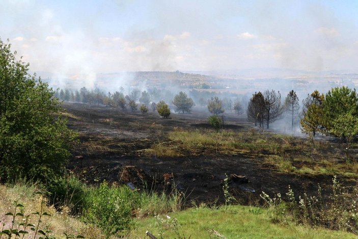 Atatürk Orman Çiftliği'ndeki yangın soruşturmasında jet iddianame -4