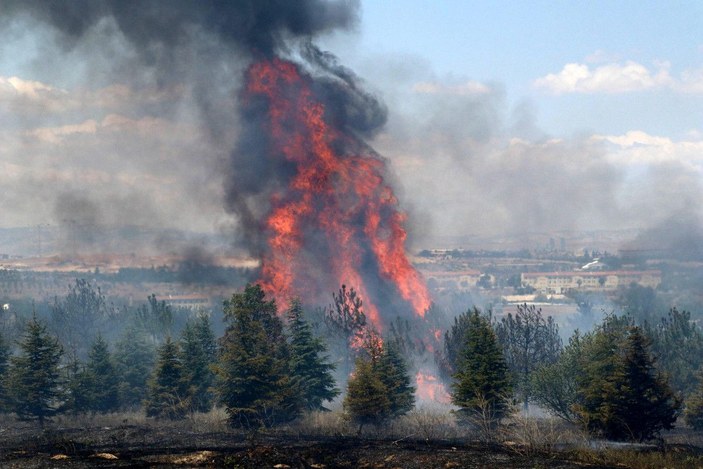 Atatürk Orman Çiftliği'ndeki yangın soruşturmasında jet iddianame -1