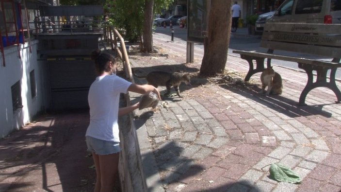 Üsküdar’da şahsın sokak kedisini yerden yere vurduğu anlar kamerada -3