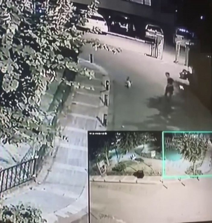 Üsküdar’da şahsın sokak kedisini yerden yere vurduğu anlar kamerada -7
