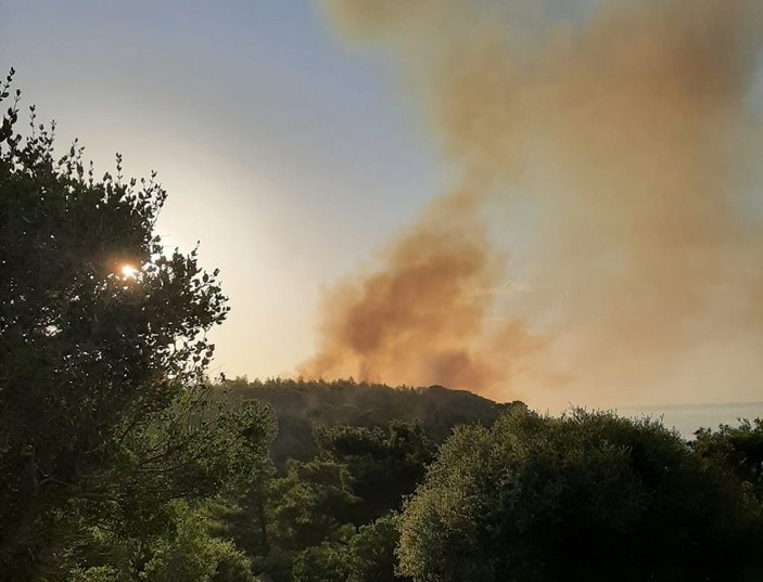 Ezine’de orman yangını çıktı -2