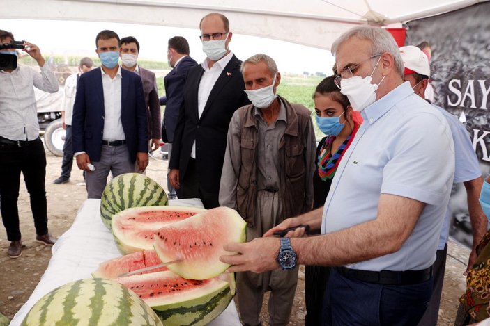 Diyarbakır Valisi, hasadı yapılan 45 kiloluk karpuzu kılıçla kesti -6