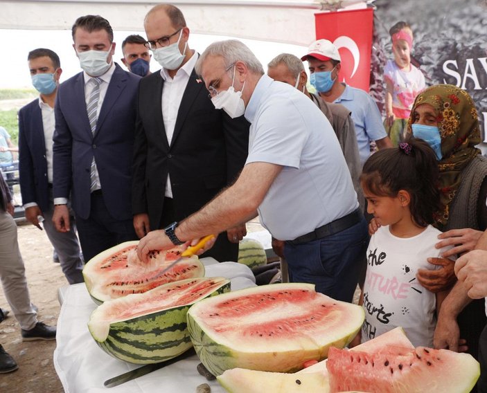 Diyarbakır Valisi, hasadı yapılan 45 kiloluk karpuzu kılıçla kesti -9