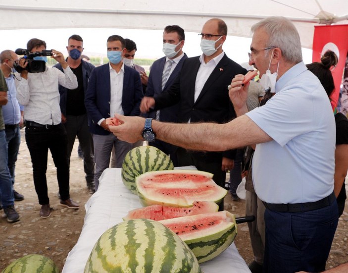 Diyarbakır Valisi, hasadı yapılan 45 kiloluk karpuzu kılıçla kesti -7