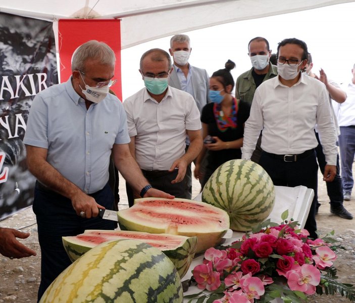 Diyarbakır Valisi, hasadı yapılan 45 kiloluk karpuzu kılıçla kesti -4