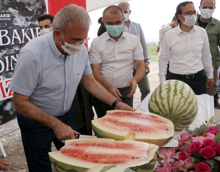 Diyarbakır Valisi, hasadı yapılan 45 kiloluk karpuzu kılıçla kesti -5