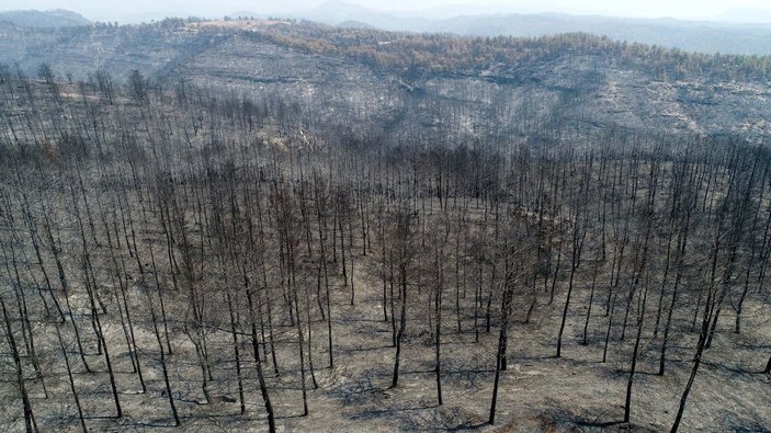 Yangının acı bilançosu: 60 bin hektar kül oldu, en az 1 milyar TL'lik maddi kayıp -4