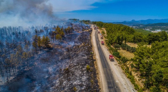 Yangının acı bilançosu: 60 bin hektar kül oldu, en az 1 milyar TL'lik maddi kayıp -2