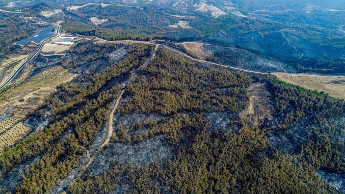 Yangının acı bilançosu: 60 bin hektar kül oldu, en az 1 milyar TL'lik maddi kayıp -3
